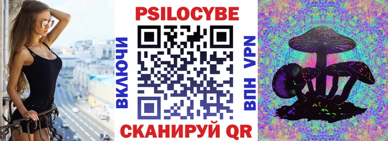 Псилоцибиновые грибы GOLDEN TEACHER  Нальчик 
